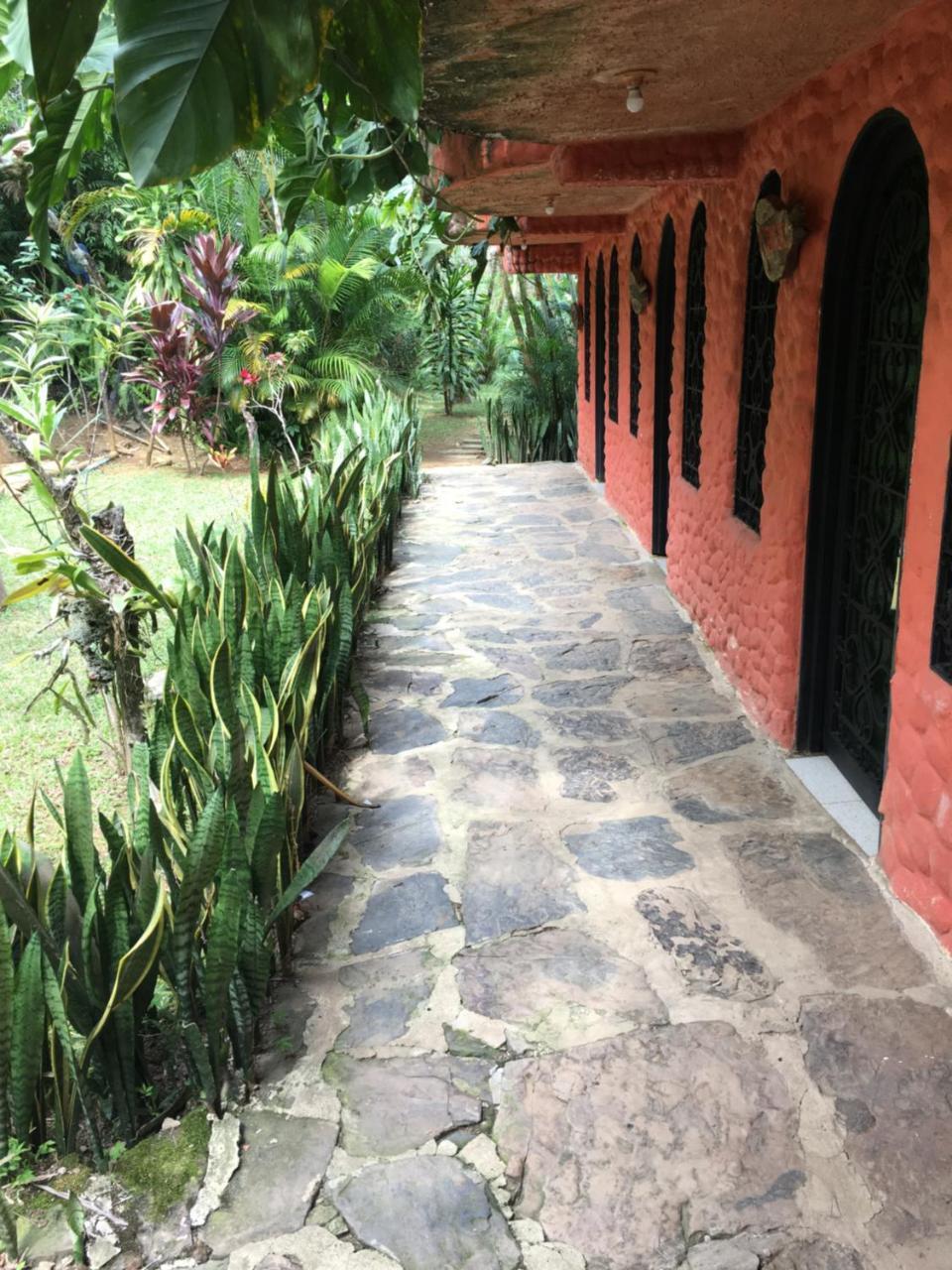 Hotel Green Ecologico La Vega  Eksteriør billede